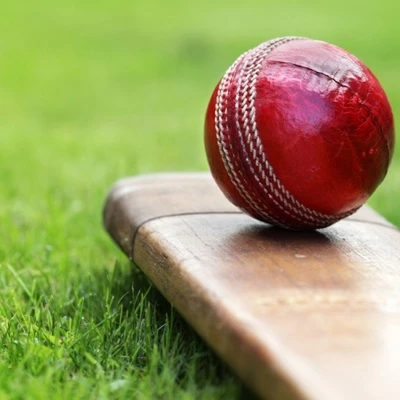 cricket image 01