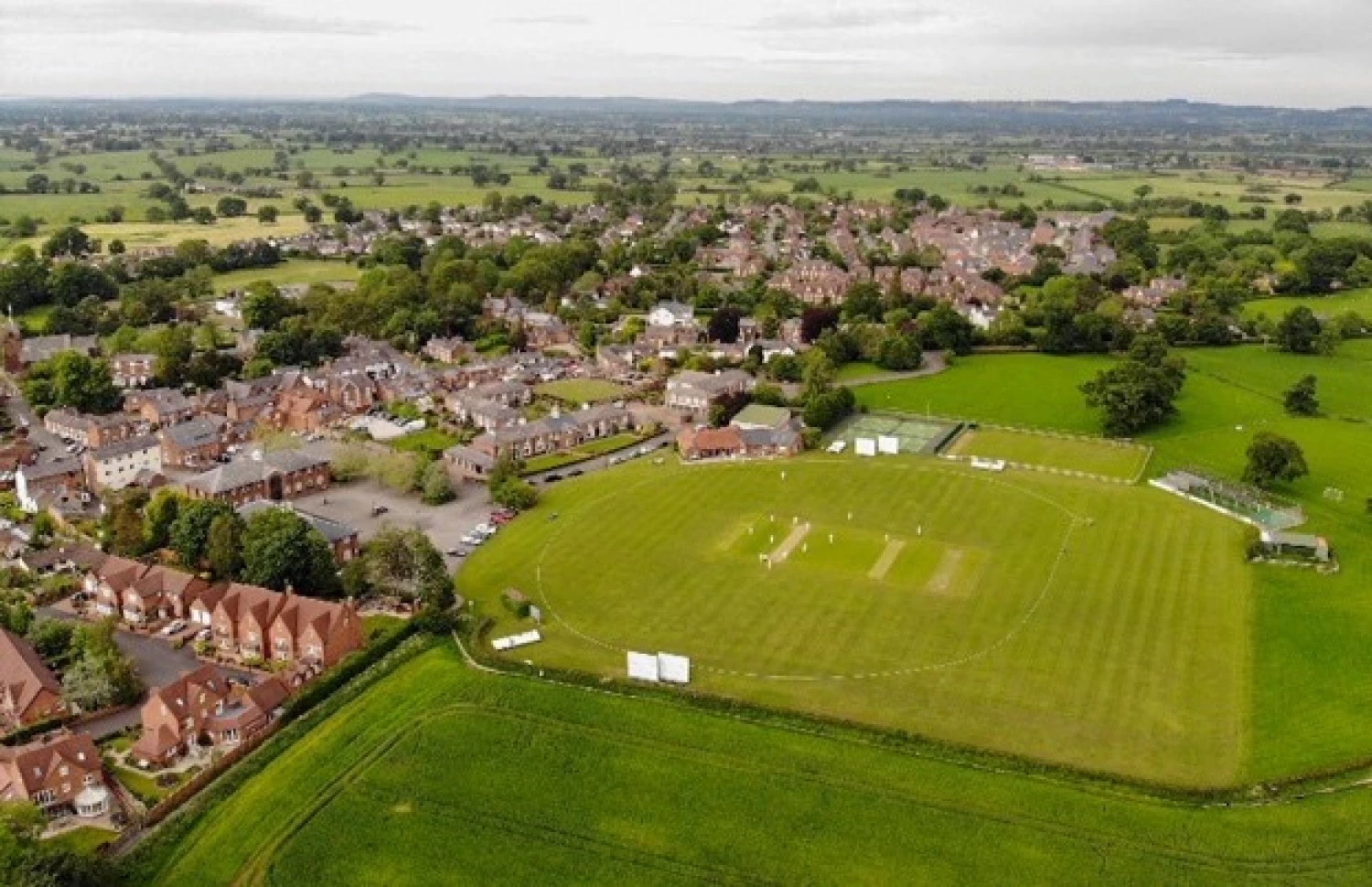 cricket pitch image