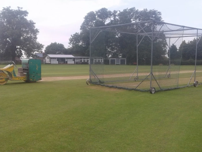 cricket wicket