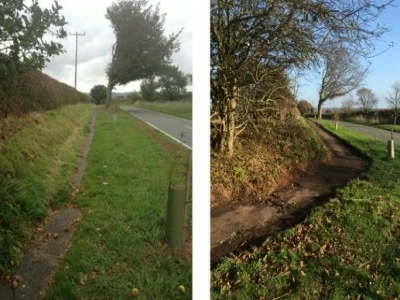 cross lanes imps