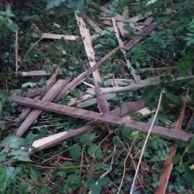 cwt bird hide damage august 2022  2