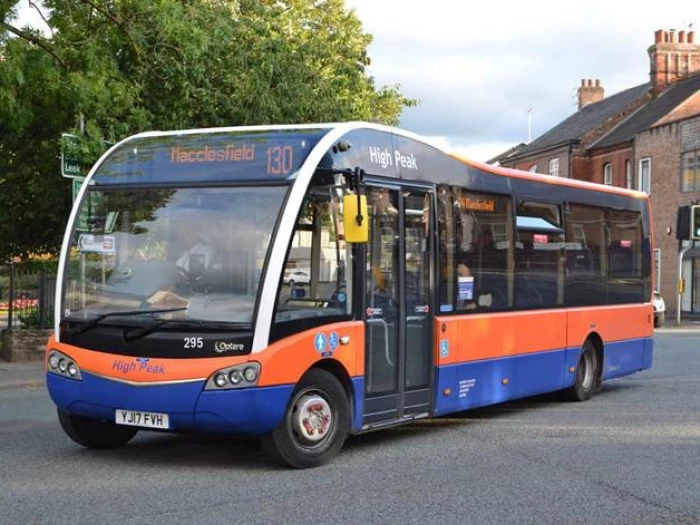 d amp g bus