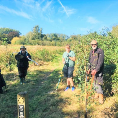 digging holes  sept 2020