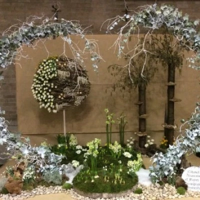 display 1