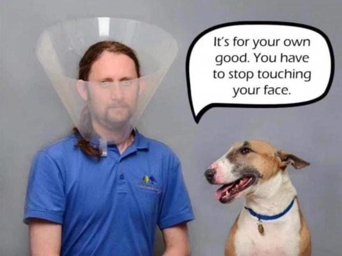 dog collar