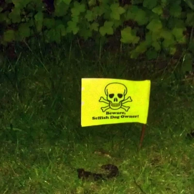 dog poo 1