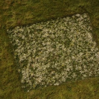 drone 1