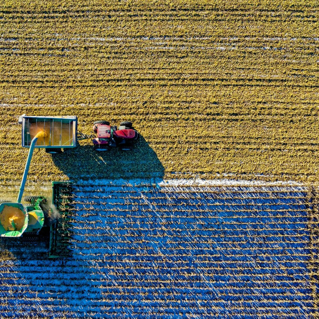 drone captures vibrant aerial view of tractors harvesting corn in minnesota field