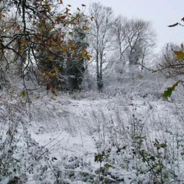 dsc0684