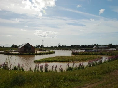 dsc4014 1000
