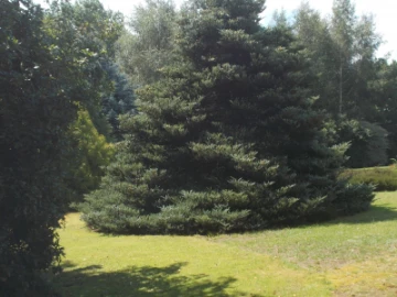 dscn0077