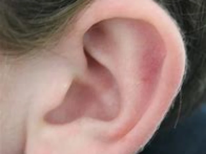 ear