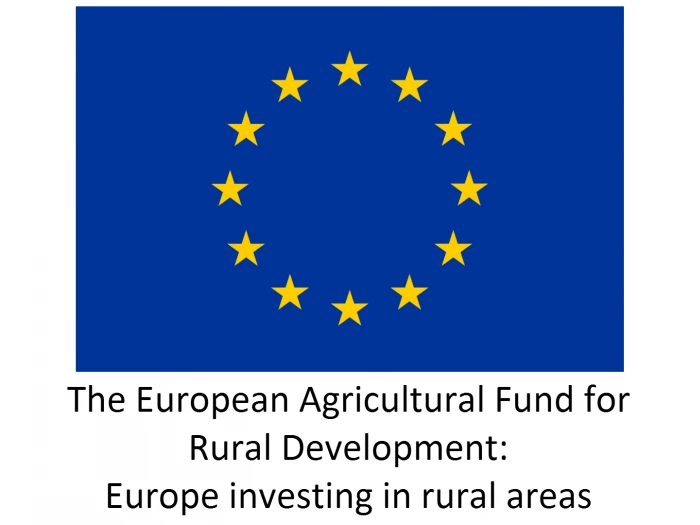 eu funding logo