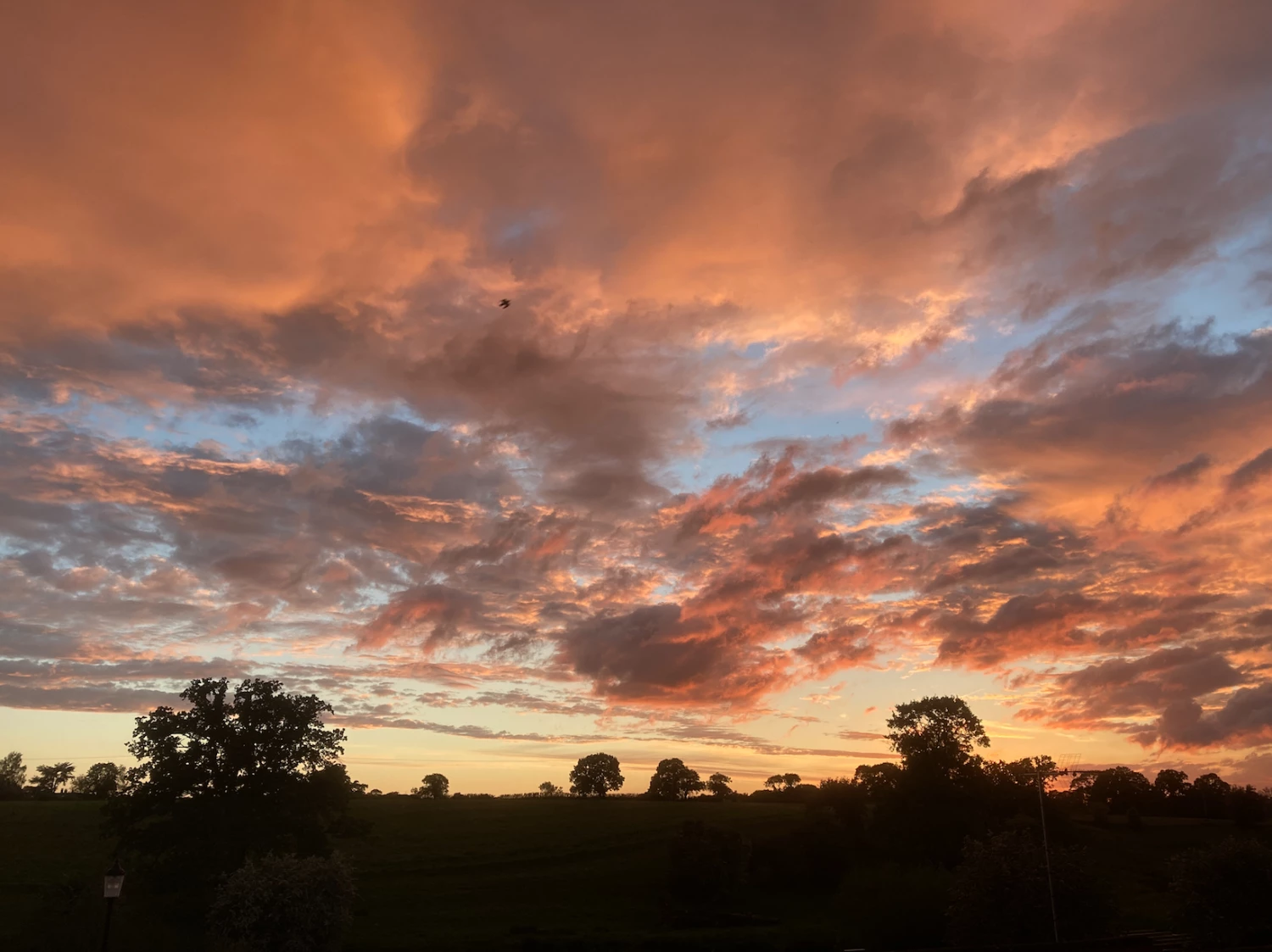 evening sun over audlem
