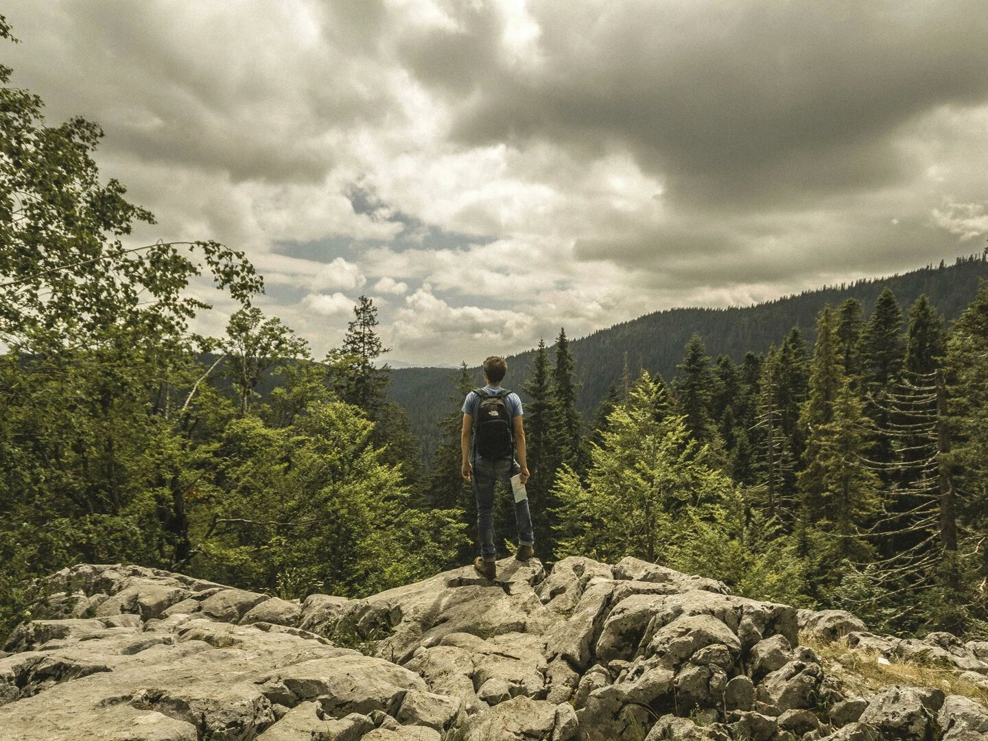 explore the rugged beauty of forested mountains with this inspiring hiking scene perfect for travel and outdoor enthusiasts