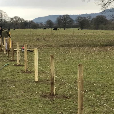 fencing 2