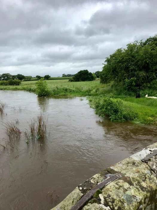 flood 2