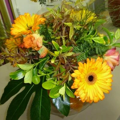 flower club april 2017 p1030229