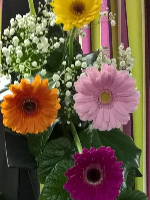 flower club jan 20wp20170111213555pro  2  1