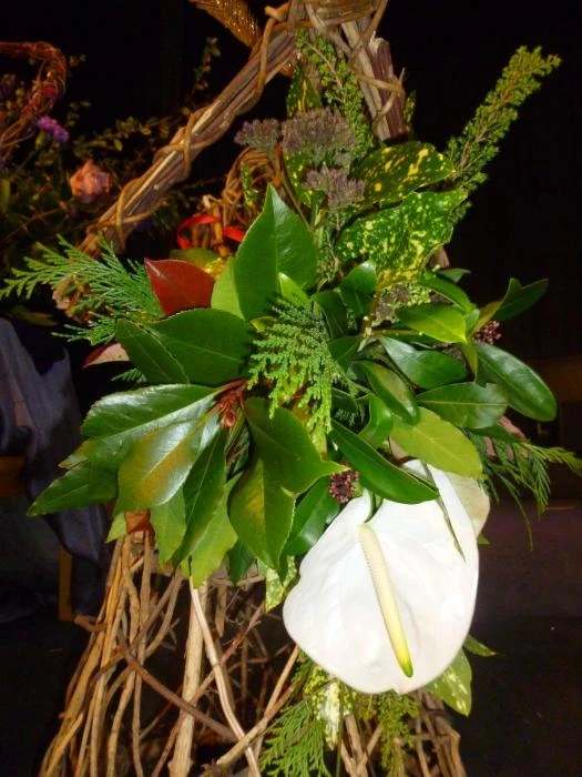 flower club oct 2018 p103