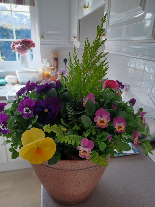 flowers for housebound friend