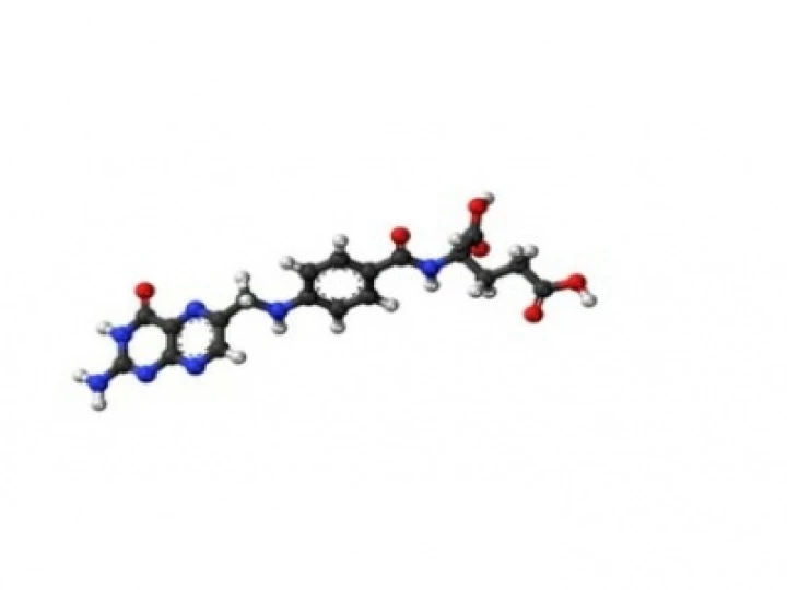 folic2