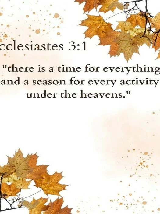 for newsletter oct 24