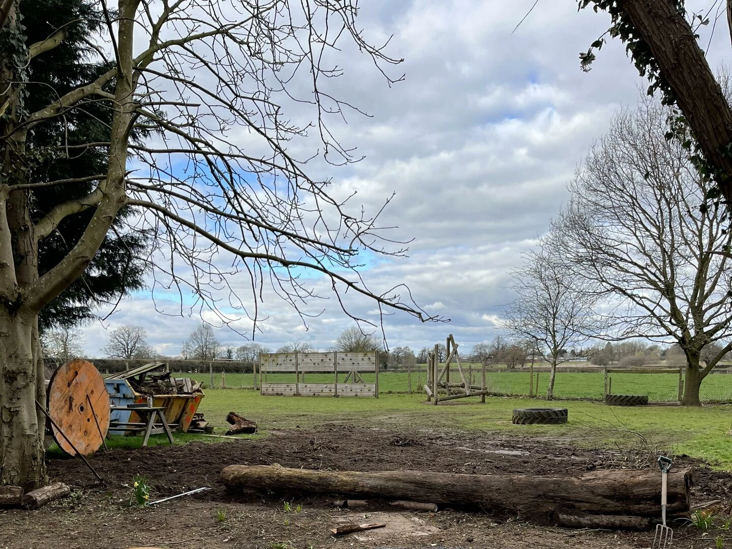 forest area soil cleared
