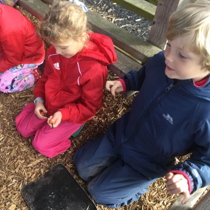 forest school 2024d