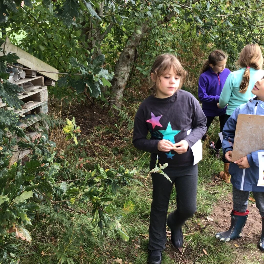 forest school