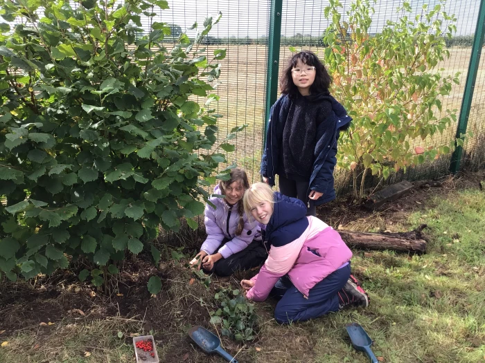 forest school