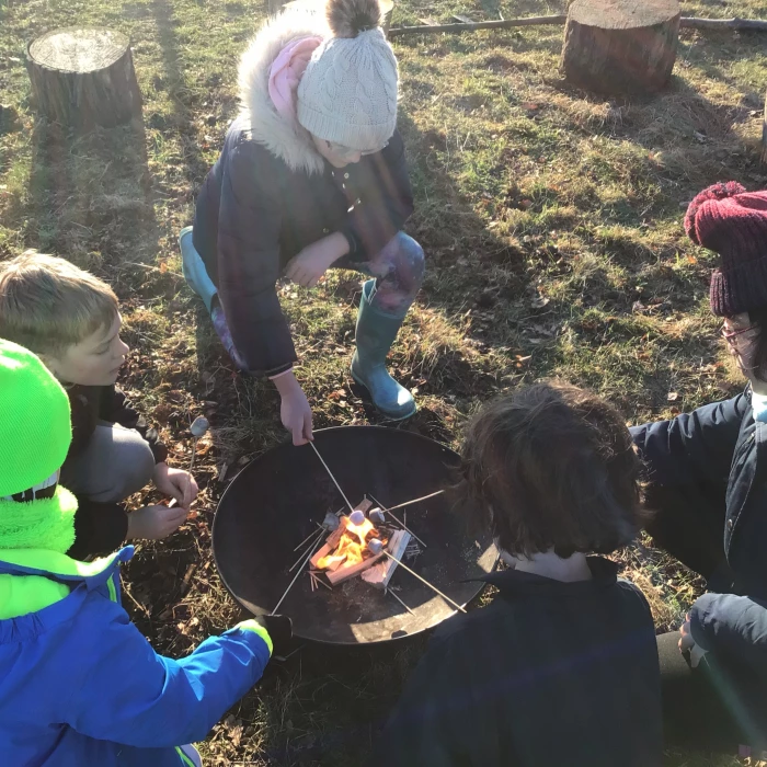 forest schools