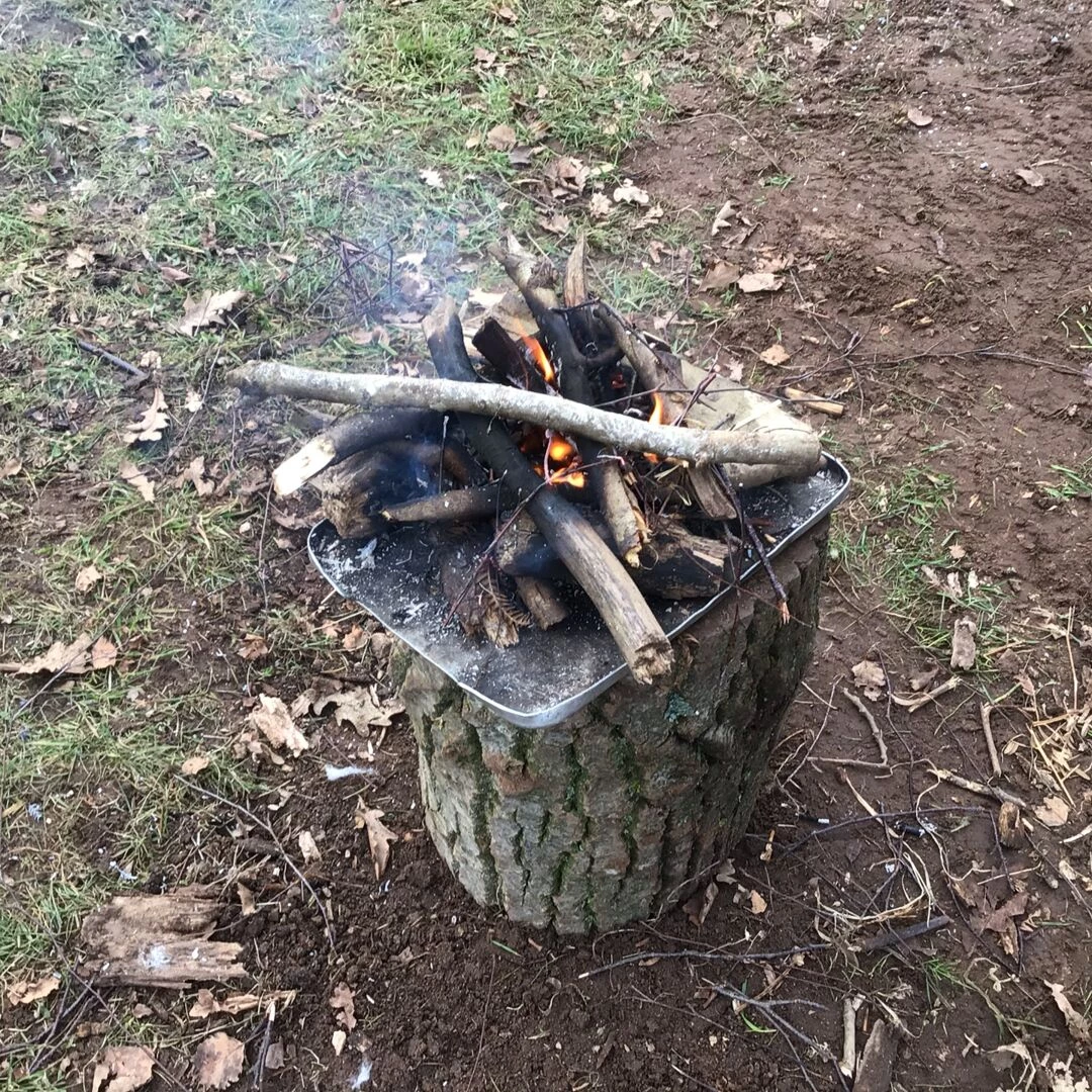 forest schools