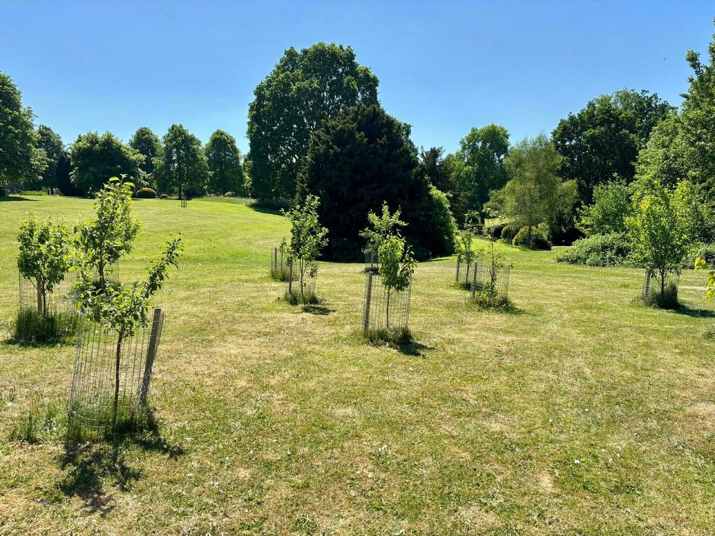 fostering orchard