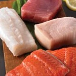 freshfish 01