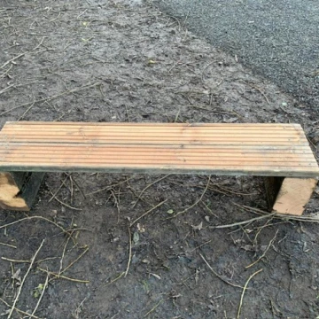 fs3