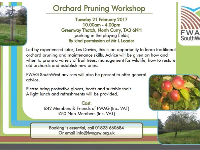 fwag orchard pruning video 21st feb
