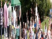 gallery header 46