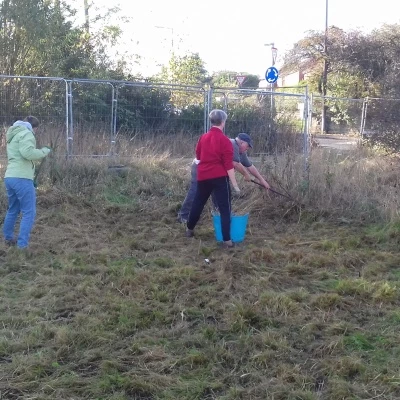 gardening 3