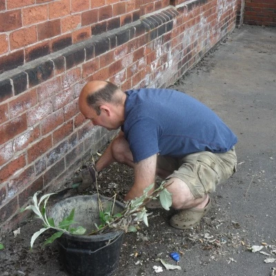 gardening blitz buckley 1