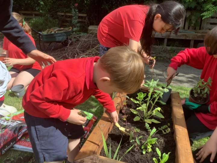 gardening