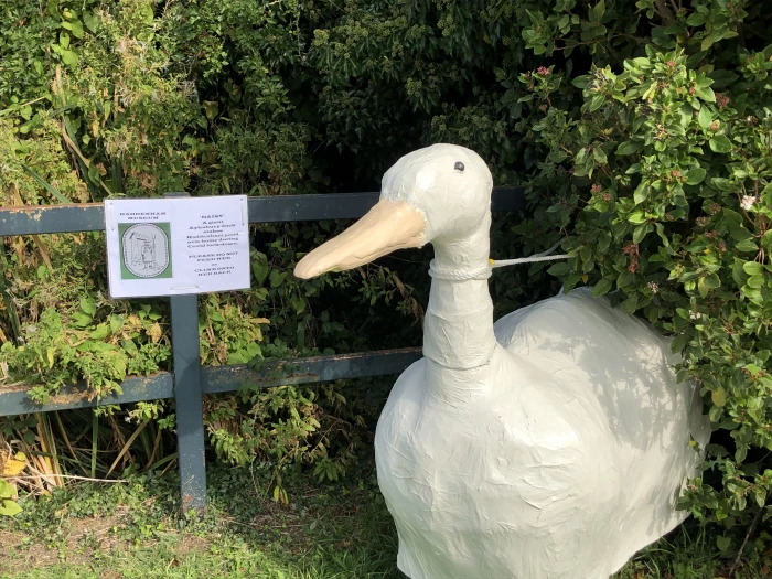 giant aylesbury duck model