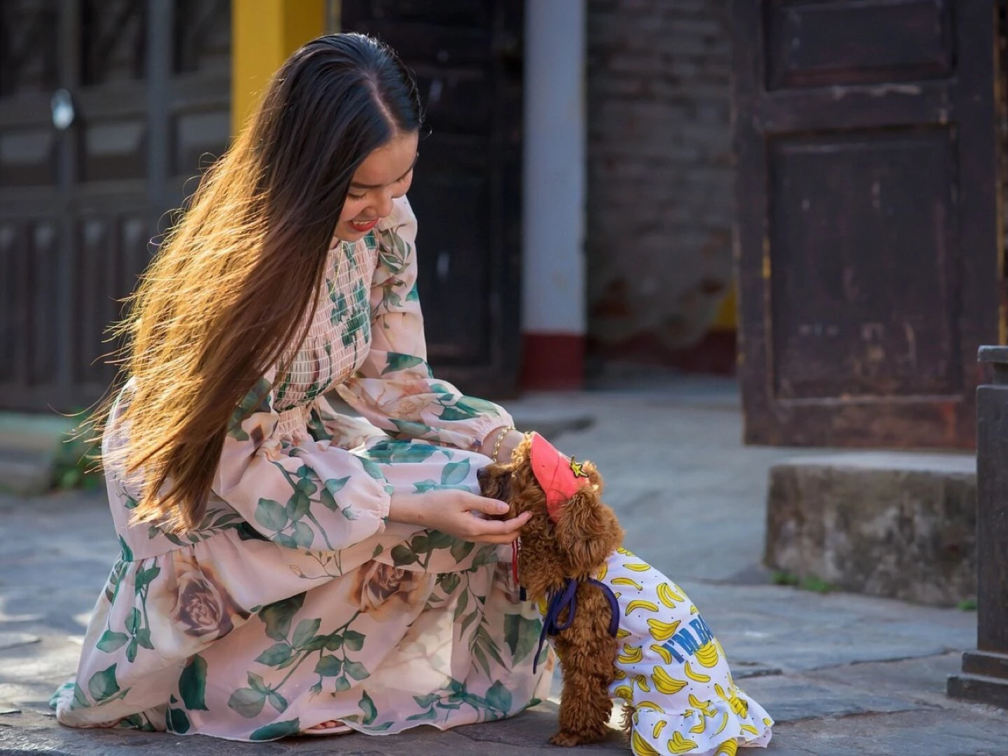 girl dog light people happy woman friendship nature animal person cute pampered beautiful model pet happiness streets dog people people people people people friendship