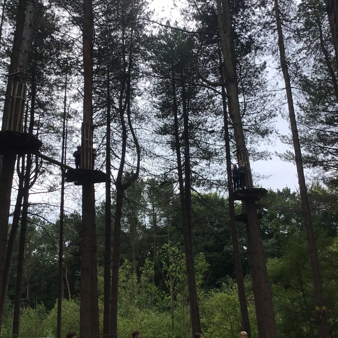 go ape