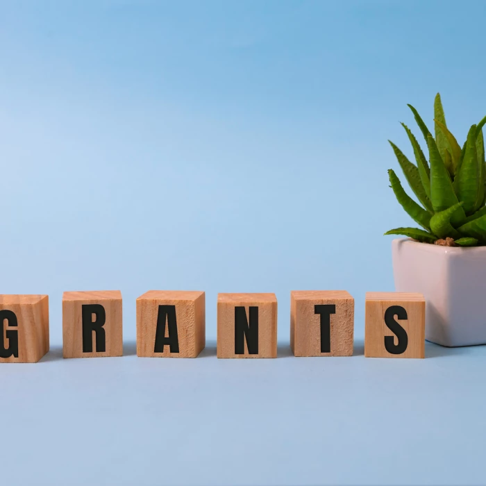 government grants