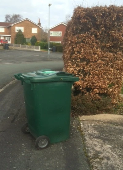 green bin