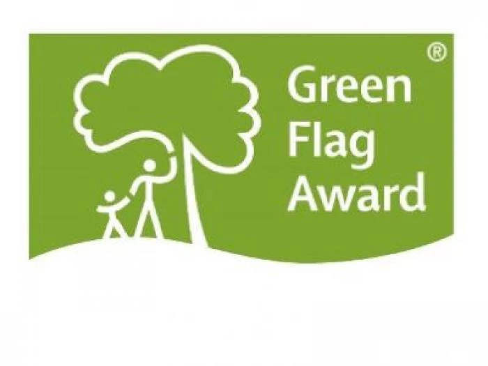 green flag