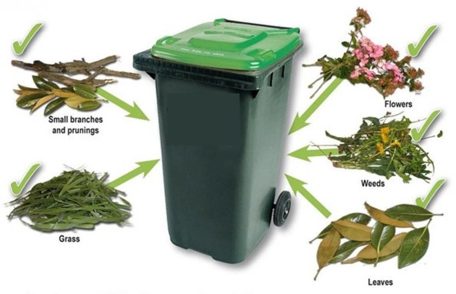 green waste bin