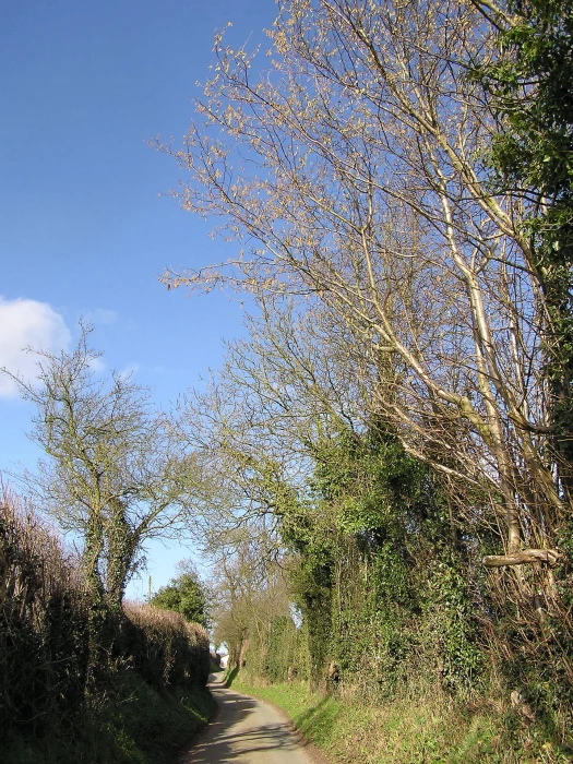greenway lane