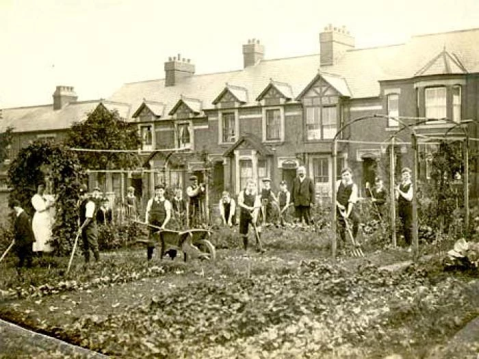 grow your own ww1 794001murrayschoolwargarden1